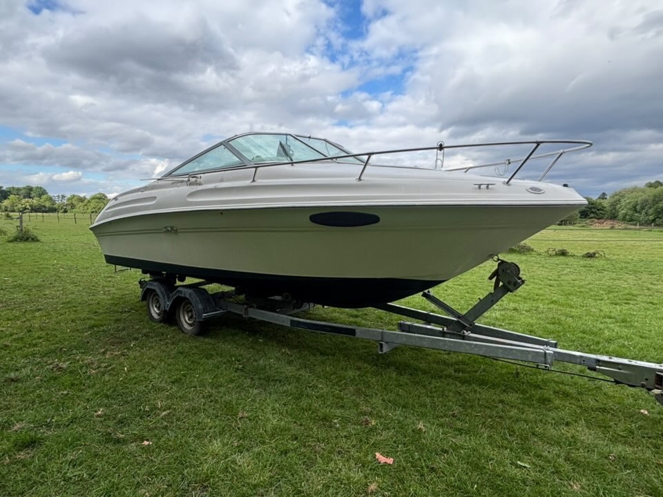 Searay 215 Weekender